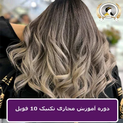 دوره آموزش مجازی تکنیک 10 فویل